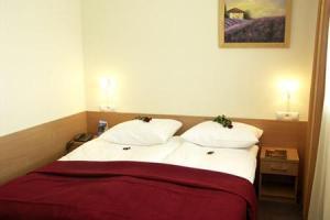 Hotel Pod Wawelem Cracovia